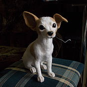 собака породы ши-тцу. изготовлена по фото