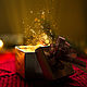 Отдушка Волшебство на Рождество (Эльф  мыла, свечей, бомб(США), Ароматизаторы, Москва,  Фото №1