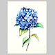 Painting Watercolor Hydrangea. Pictures. ARTMADE watercolor and oil painting. Online shopping on My Livemaster.  Фото №2