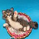 valyanyj gatito kitty'en la papelera de reciclaje. Felted Toy. Anna Petinati. Интернет-магазин Ярмарка Мастеров.  Фото №2