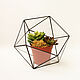 Florarium. Geométrico florarium de colores y un mini-jardín. El icosaedro. Florariums. Glass Flowers. Ярмарка Мастеров.  Фото №5