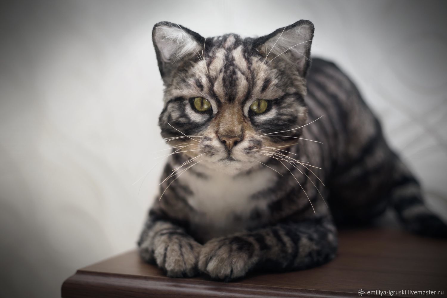 tabby cat teddy