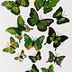 Бабочки "Двойные крылья", Зеленые. Scrapbooking Elements. Oksana. Online shopping on My Livemaster.  Фото №2