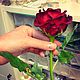 Rose "Burgundy". Flowers. DekaHandMade (DekaHandMade). Online shopping on My Livemaster.  Фото №2