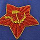 Embroidery Star of October. Patches. Businkamilaja (businkamilaja). Online shopping on My Livemaster.  Фото №2