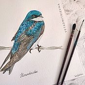 Картины и панно handmade. Livemaster - original item Pictures: Pictures: Bird swallow watercolor. Handmade.