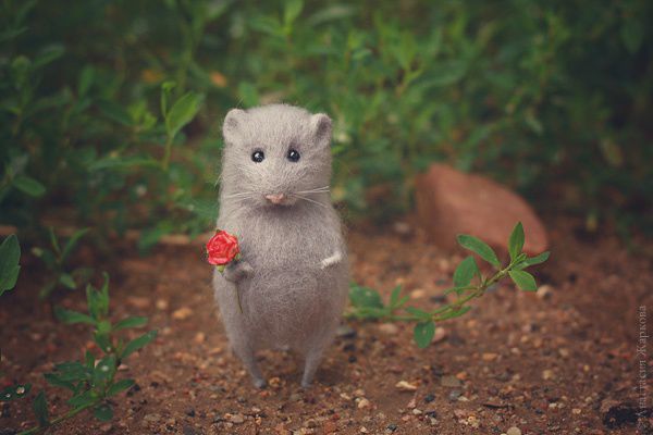 "Mouse Arisha", Felted Toy, Moscow,  Фото №1