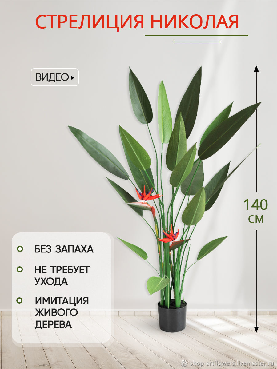 Элементы интерьера: Стрелиция Николая с цветами купить в интернет-магазине  Ярмарка Мастеров по цене 9890 ₽ – T1A16RU | Элементы интерьера, Владивосток  - доставка по России