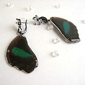 Украшения handmade. Livemaster - original item Earrings Real Butterfly Wings Black Green Tenderness Rhodium Silver. Handmade.