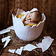 Заказать Реквизит для фотосессий новорожденных яйцо " Скорлупка". ЛенаВи - Теплота от кота. Ярмарка Мастеров. . Реквизит для детской фотосессии Фото №3