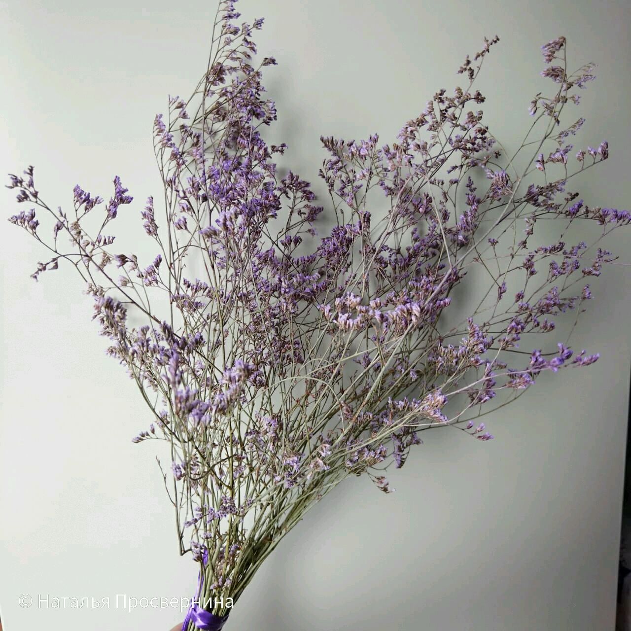 Кермек сухоцвет купить в интернет-магазине Ярмарка Мастеров по цене 100 ...