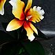 Yesenia Orchid Night Light'. Nightlights. Elena Krasilnikova. My Livemaster. Фото №6