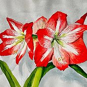 Картины и панно handmade. Livemaster - original item Bright red amaryllis hippeastrum watercolor painting flowers. Handmade.