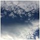 Небо, птицы, облака, Фотографии, Новосибирск,  Фото №1