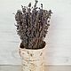 composition: Birch bark planters with lavender. Composition. Leksadekor (leksadekor). My Livemaster. Фото №4