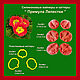 Primrose Petals set of silicone viners and cutters, Molds for making flowers, Rostov-on-Don,  Фото №1