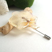 Украшения handmade. Livemaster - original item Brooch-Needle Orchid Real White Flower Decoration Brooch. Handmade.