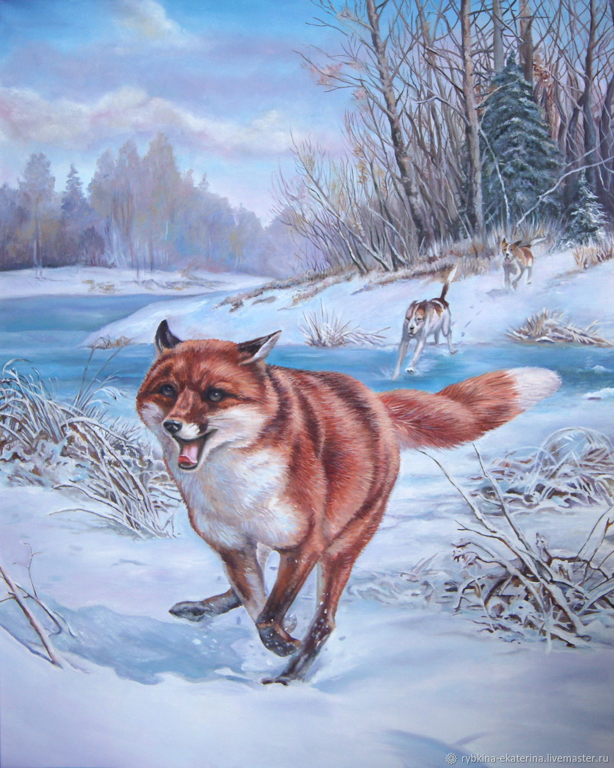 Охота на лису волка