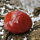  Сердолик, натуральные камни. Галтовка. Amulet-Stone (AS). Интернет-магазин Ярмарка Мастеров.  Фото №2