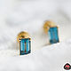 Small clove of gold set with Topaz - very comfortable and beautiful earrings. Topaz cut in the shape of a `baguette` - a very concise and elegant form for stone. Look carefully at the ears and does no