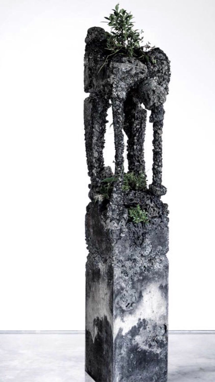 Флористические скульптуры Джейми Норта