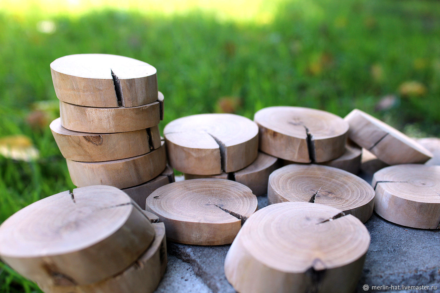 Красное дерево срез. Срез дерева. Спил вишни. Ядро и заболонь. Срез древесины вишня.