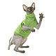 Заказать Kotomoda  одежда для сфинксов Салат. Kotomoda Cat Wear. Ярмарка Мастеров. . Аксессуары для питомцев Фото №3