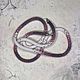  bead harness. Lariats. Kairos. My Livemaster. Фото №5
