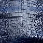 Материалы для творчества handmade. Livemaster - original item Crocodile leather, haberdashery/shoe dressing, dark blue color.. Handmade.