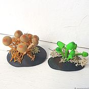 Цветы и флористика handmade. Livemaster - original item Miniature mushrooms (handmade from polymer clay). Handmade.