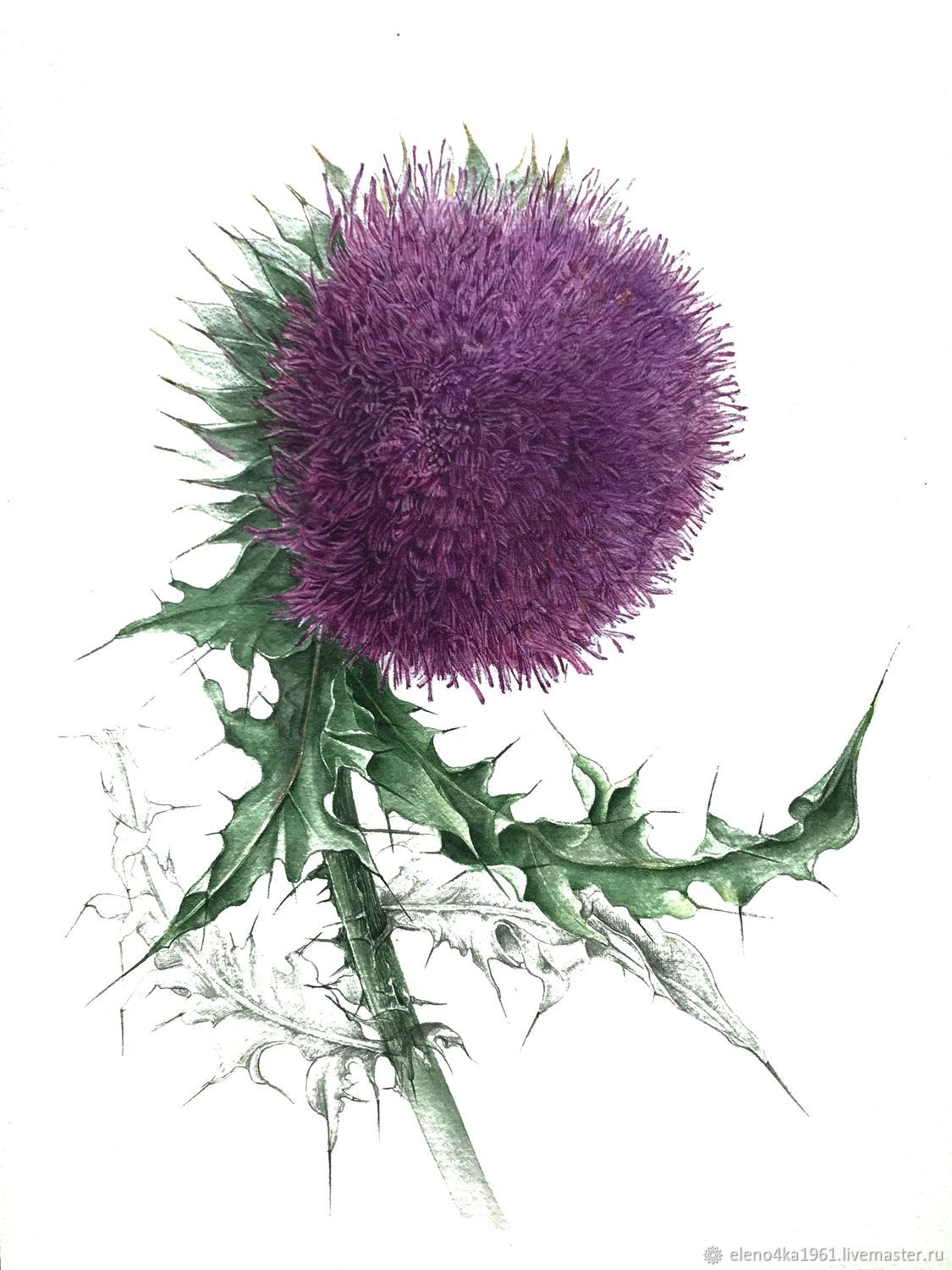 Картины: чертополох цветёт купить в интернет-магазине Ярмарка Мастеров ...