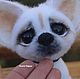 Copyright felted toy Chihuahua Butterscotch. Felted Toy. KravetsTatyana. My Livemaster. Фото №6