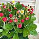 Земляника в деревянном ящике. Элементы интерьера. Николаева Ирина. Created flowers.. Ярмарка Мастеров.  Фото №5