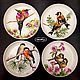 Painted porcelain. Plates on the wall bullfinches, hummingbirds, sparrows, goldfinches, Plates, Kazan,  Фото №1