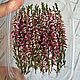 Сухоцветы. Вереск (2024). Сухоцветы для творчества. 2_kulona_handcraft (Наталия). Ярмарка Мастеров.  Фото №6