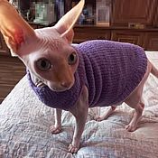 Sweater for animals(color is different)