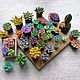 Succulents for Dollhouse miniature Accessories for dolls, Miniature plants and flowers, Schyolkovo,  Фото №1