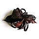 Elegant Barrette Chocolate Flower Brown Nut Chocolate, Hairpins, Moscow,  Фото №1