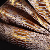 Материалы для творчества handmade. Livemaster - original item Python skin, hide, width 30-34 cm IMP2003A44. Handmade.