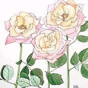 Ботаническая иллюстрация Роза