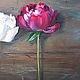 Oil Painting on canvas "Peony series". Pictures. Filin-art. My Livemaster. Фото №5