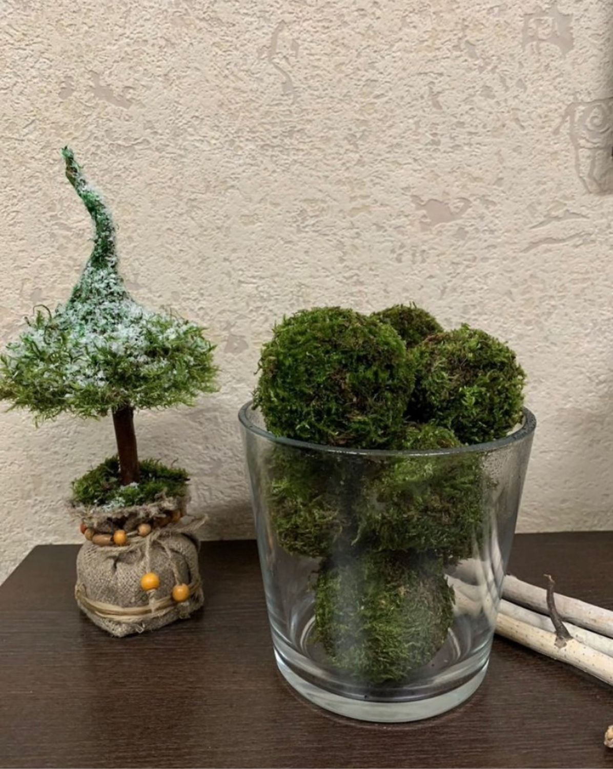 Мох растет на основе из переработанного пластика внутри стеклянной чаши