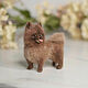Chocolate felted pomeranian (mini copy of the dog to order). Felted Toy. KnicKnack Wool Toys. Online shopping on My Livemaster.  Фото №2