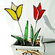 Tulips, Figurines, Almaty,  Фото №1