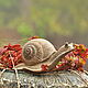 Order Mini Snail Made of Concrete Flower Pot Decor. Decor concrete Azov Garden. Livemaster. . Figurines Фото №3