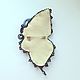 Order Brooch blue black butterfly embroidered Shibori silk ribbon,crypearls. Oriel (Oriel). Livemaster. . Brooches Фото №3