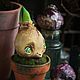 Hyacinth bulb in a pot. Miniature plants and flowers. Secret Jar. My Livemaster. Фото №4