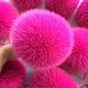 POM-poms: Fox Fuchsia. Pompons. beanie hand made for your favorite. Online shopping on My Livemaster.  Фото №2
