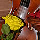 Розамелия `Музыка сердца` внесет в Вашу жизнь романтическую сказку.