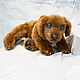 Labrador puppy chocolate, Stuffed Toys, Moscow,  Фото №1